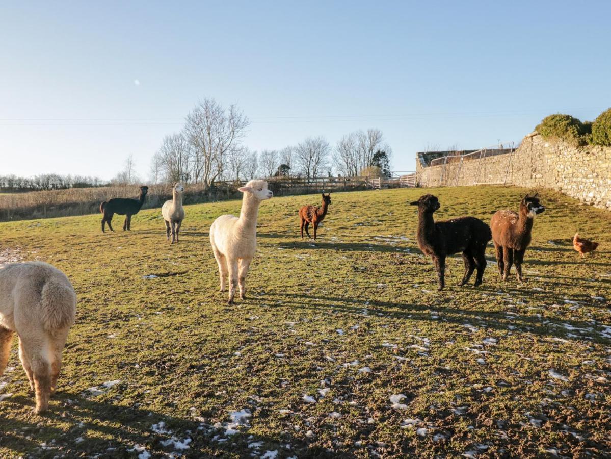 Granary Daire Ulverston Dış mekan fotoğraf